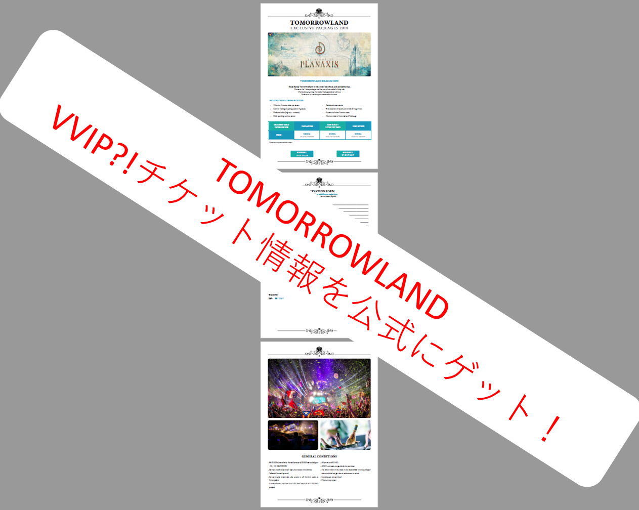 Tomorrowland2018に行く その4 230万円 噂のvvipチケットとは